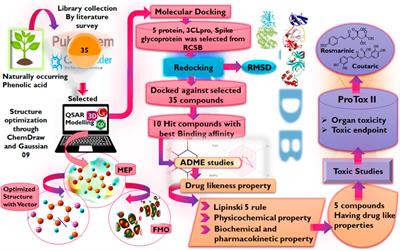 Exploration of phenolic acid derivatives as inhibitors of SARS-CoV-2 main protease and receptor binding domain: potential candidates for anti-SARS-CoV-2 therapy